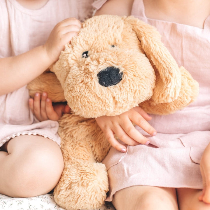 Charlie The Weighted Puppy Dog by Mindful & Co Kids - LOVINGLY SIGNED (HK)