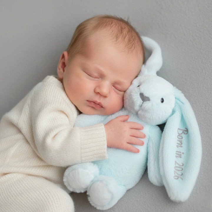 Personalised "Born in 2026" Bunny | Twinkle Plushie Toy