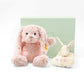 Personalised Snuggle Gift Set - Pink - LOVINGLY SIGNED (HK)