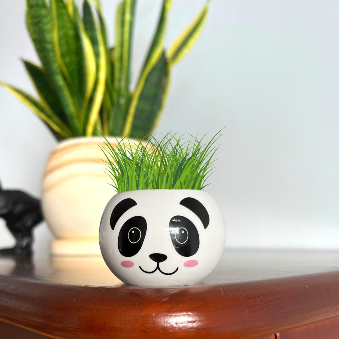 Grow Your Own Panda by Boutique Garden - LOVINGLY SIGNED (HK)