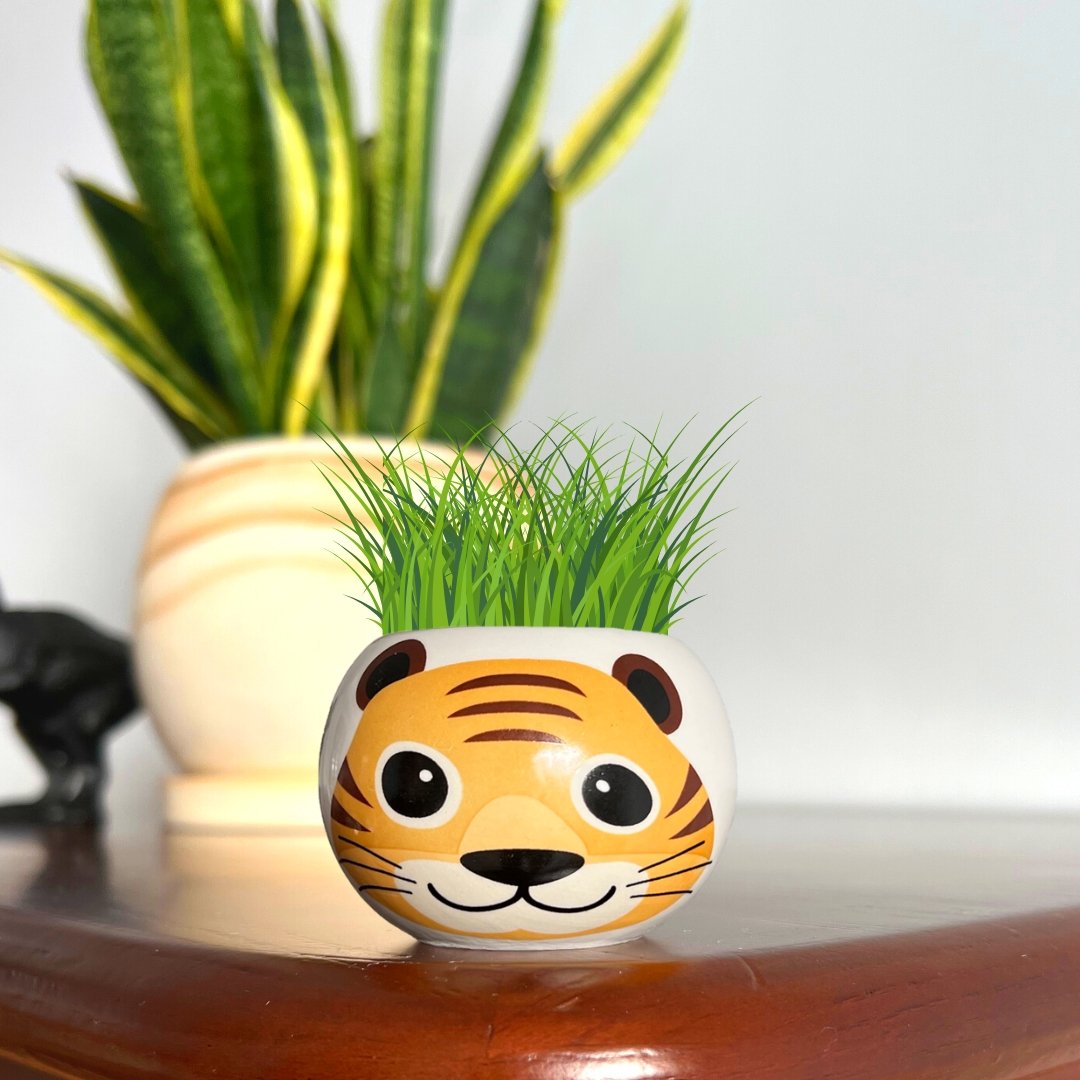 Grow Your Own Tiger by Boutique Garden - LOVINGLY SIGNED (HK)